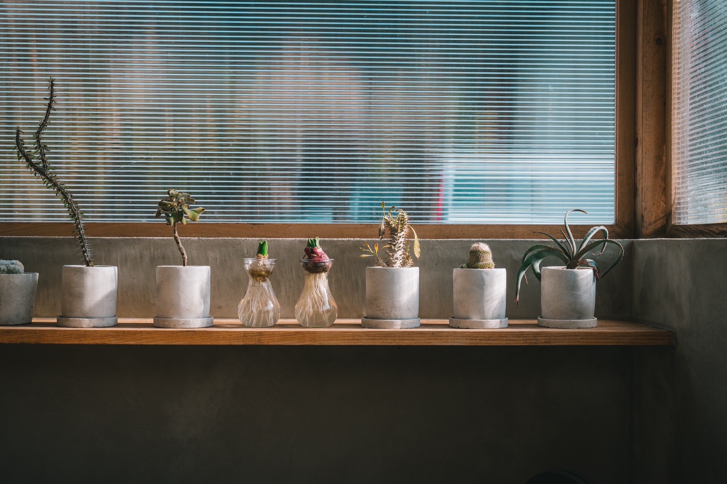 LUMBER plants | WORKS | MIYAGAKI KENSETSU